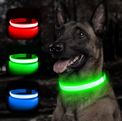 LAMORi Pet™ - LED Hundhalsband