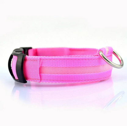 LAMORi Pet™ - LED Hundhalsband