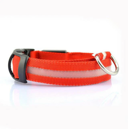 LAMORi Pet™ - LED Hundhalsband