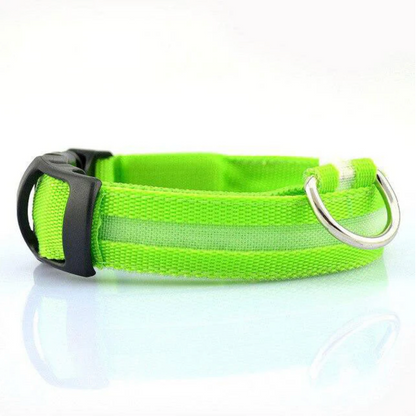 LAMORi Pet™ - LED Hundhalsband