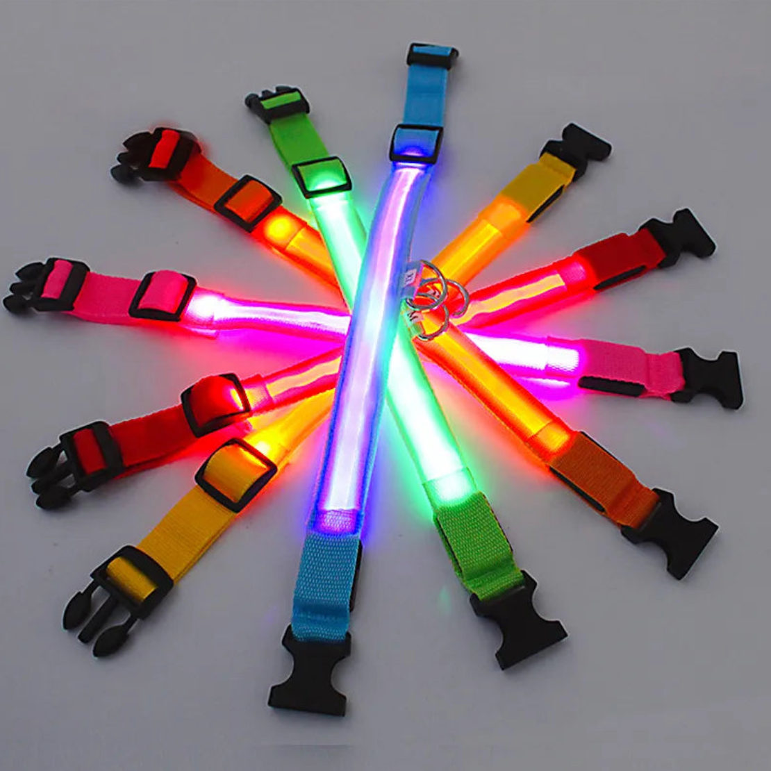 LAMORi Pet™ - LED Hundhalsband