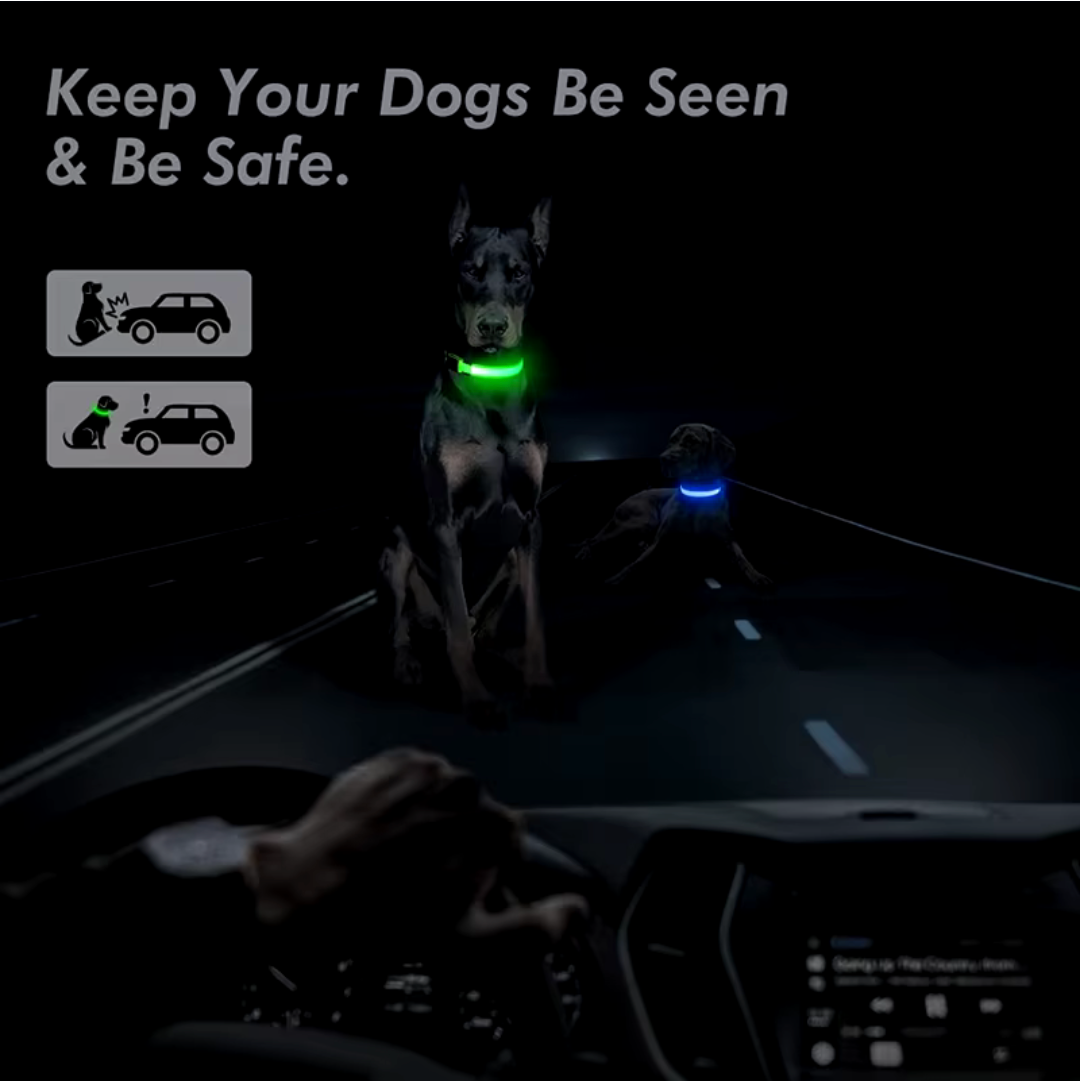 LAMORi Pet™ - LED Hundhalsband